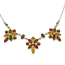 Indlæs billede til gallerivisning Rav collie blomstrede harlekin (925)