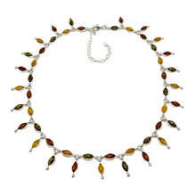 Indlæs billede til gallerivisning Rav collie harlekin (925)