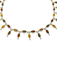 Indlæs billede til gallerivisning Rav collie harlekin (925)