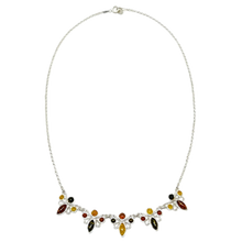 Indlæs billede til gallerivisning Rav collie bi (925)