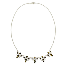 Indlæs billede til gallerivisning Rav collie bi (925)