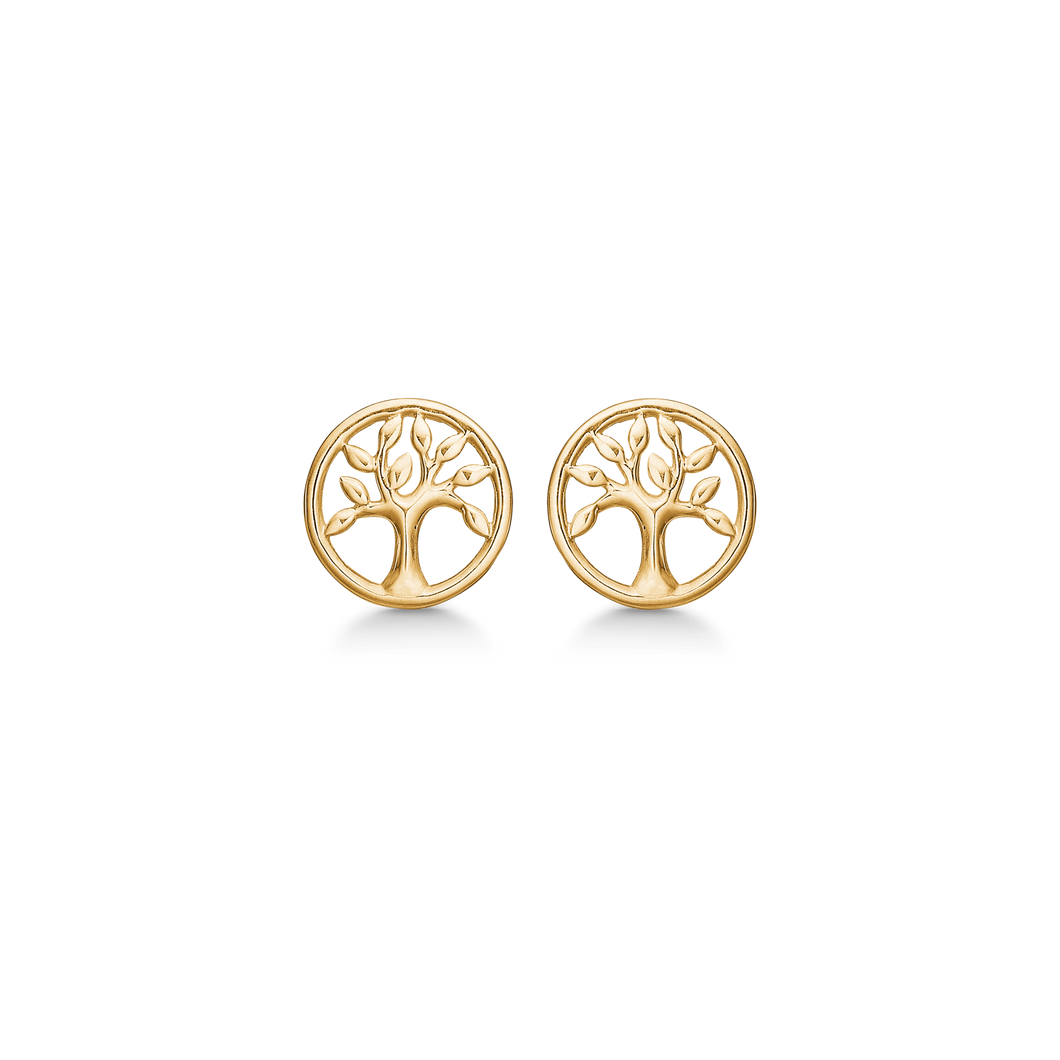 Earrings 5mm hemisphere in 8 kt. gold (333)