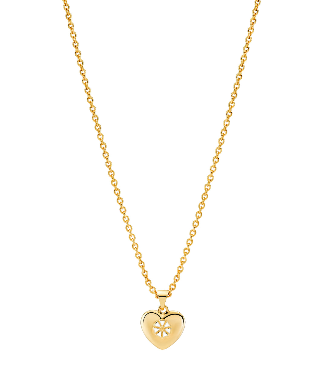 Daisy necklace 5mm with 12mm heart on anchor chain 45-48cm (925)